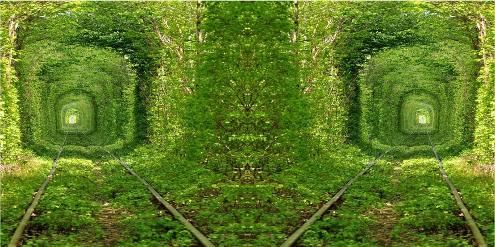 Tunnel dell'amore verde, 1600x801 HD Ready, Notebook Gaming