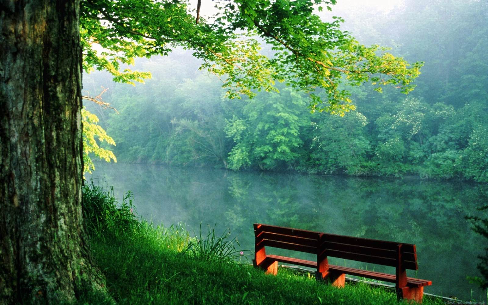 Montagne lago autunno paesaggio, 1920x1061 Full HD 1080p, ROG Asus Laptop