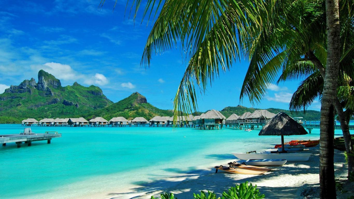 Spiaggia tropicale con palme, 1366x768 HD, MacBook Pro