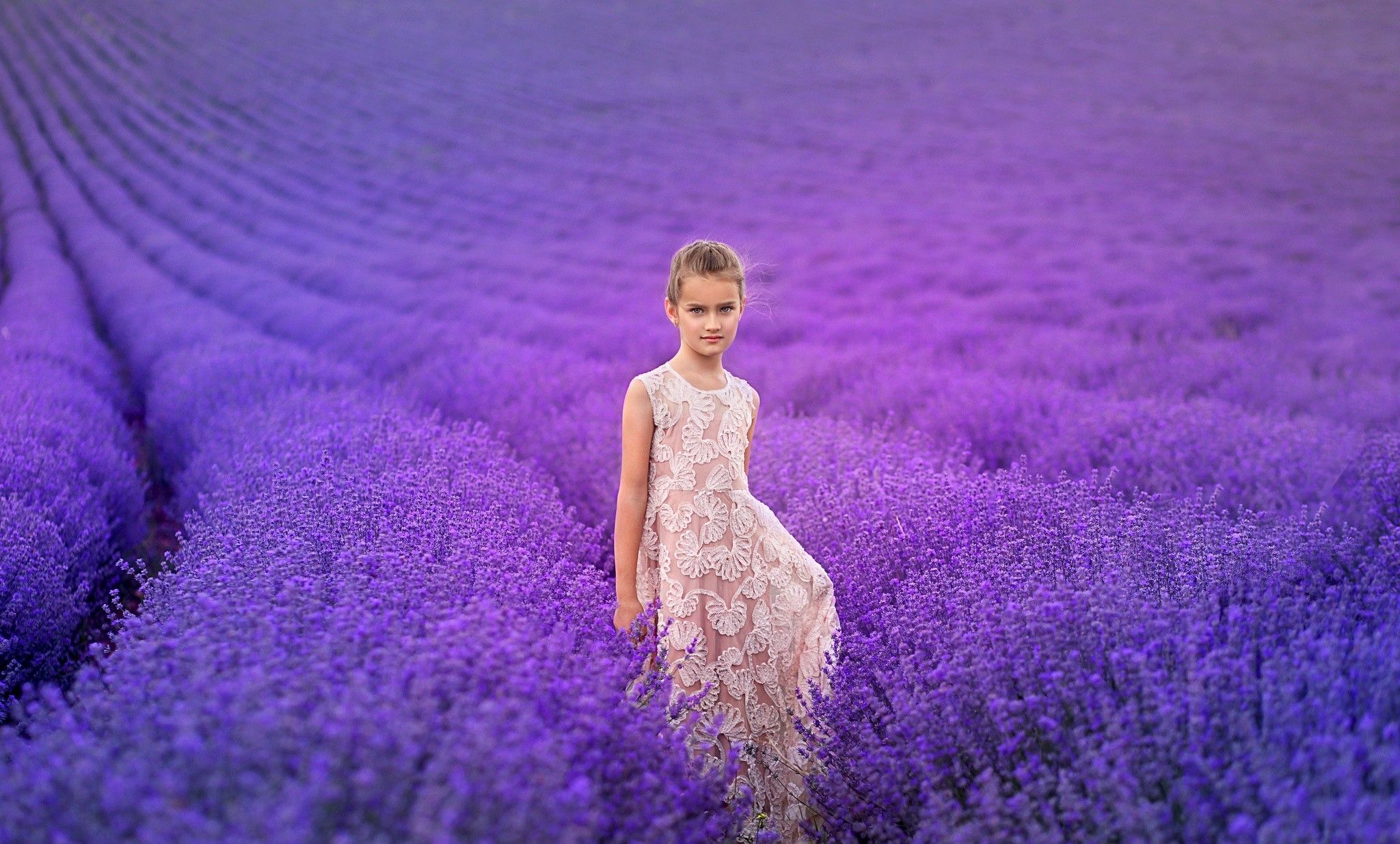 Bambina in campo di lavanda, 2048x1235 alta risoluzione, Laptop