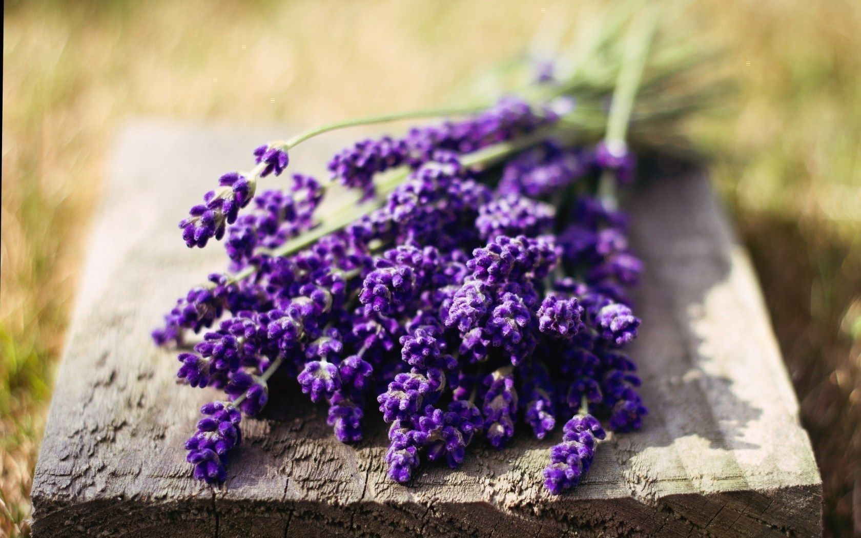 Mazzo di lavanda su legno, 1680x1050 900p, Desktop