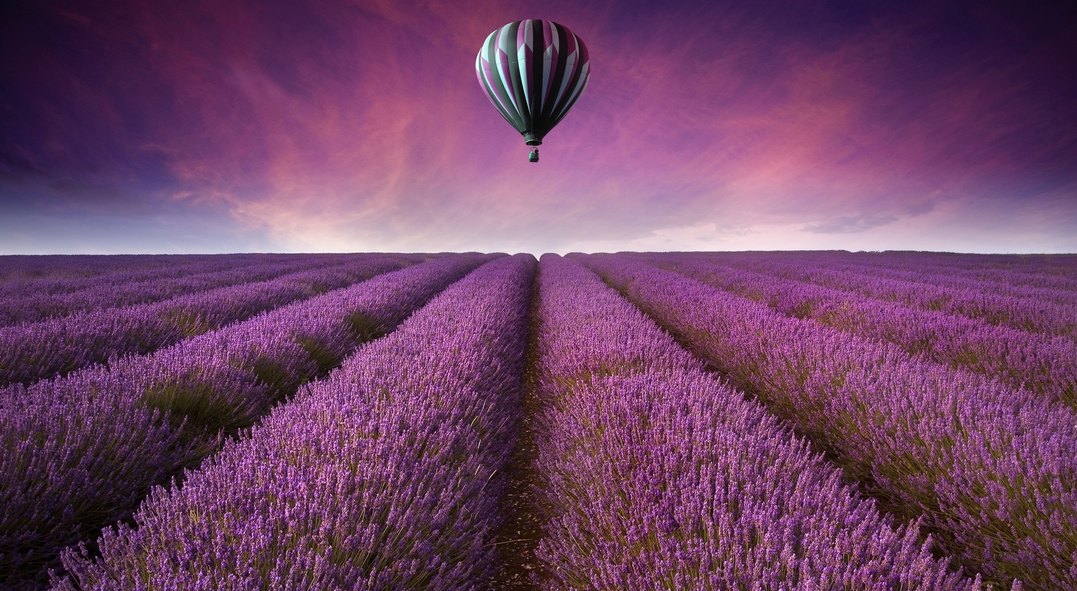 Campo di lavanda con mongolfiera, 3500x1920 2K, Laptop