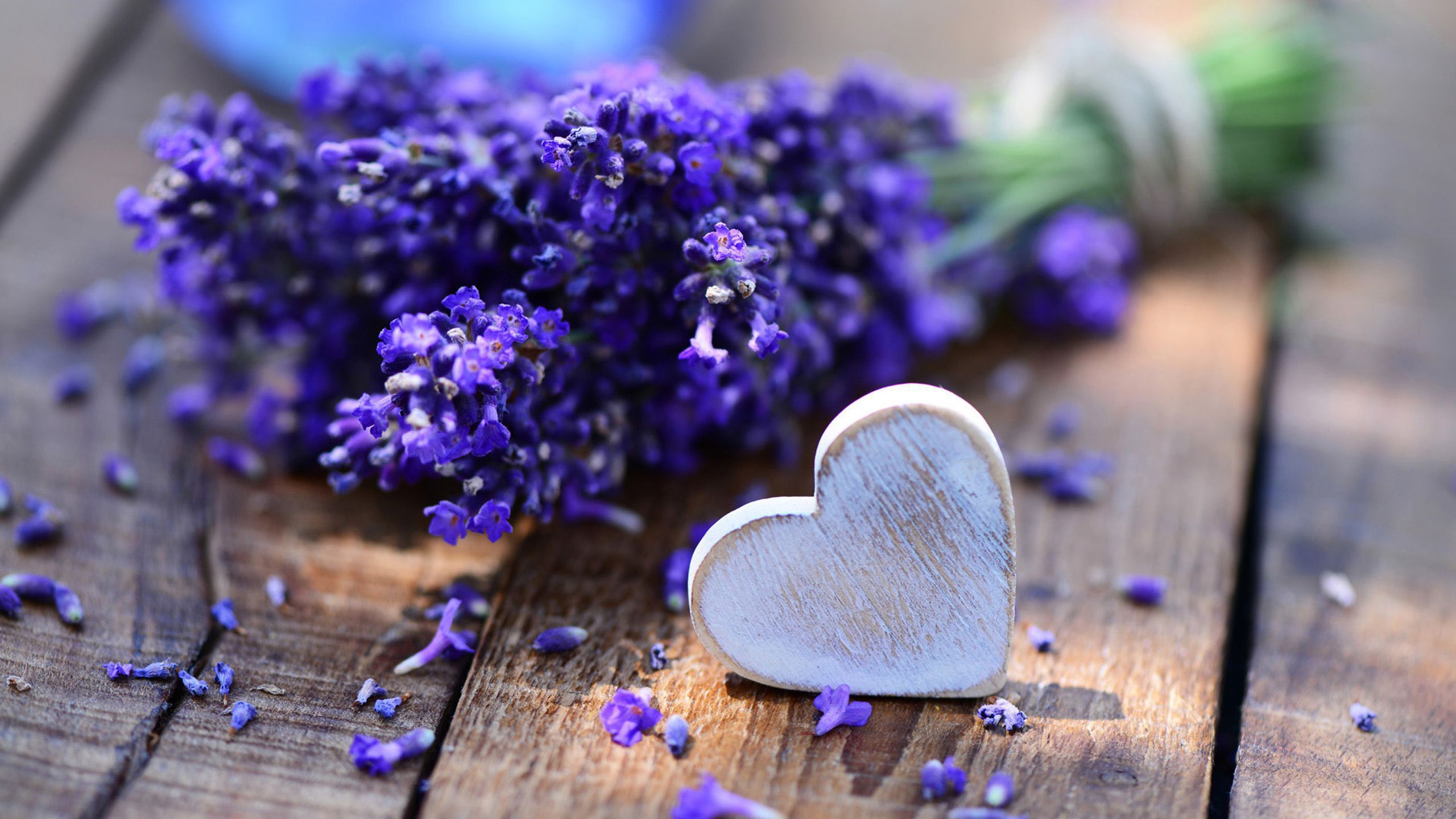 Fiori di lavanda e cuore legno, 2560x1440 2K, Monitor Gaming