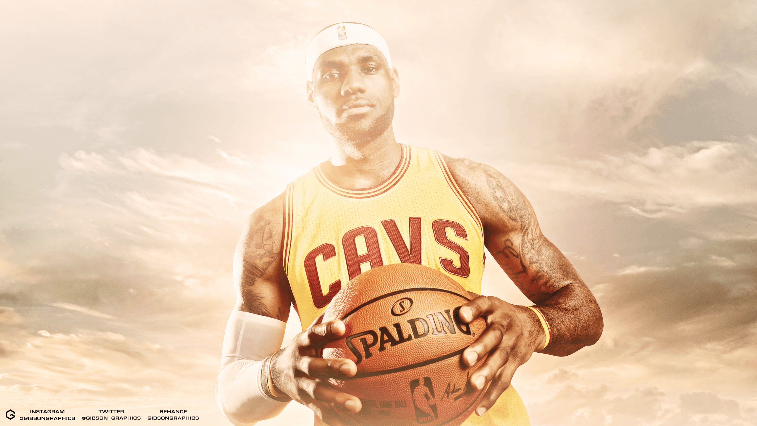 LeBron James Cavaliers pallone, 2560x1440 2K, Desktop