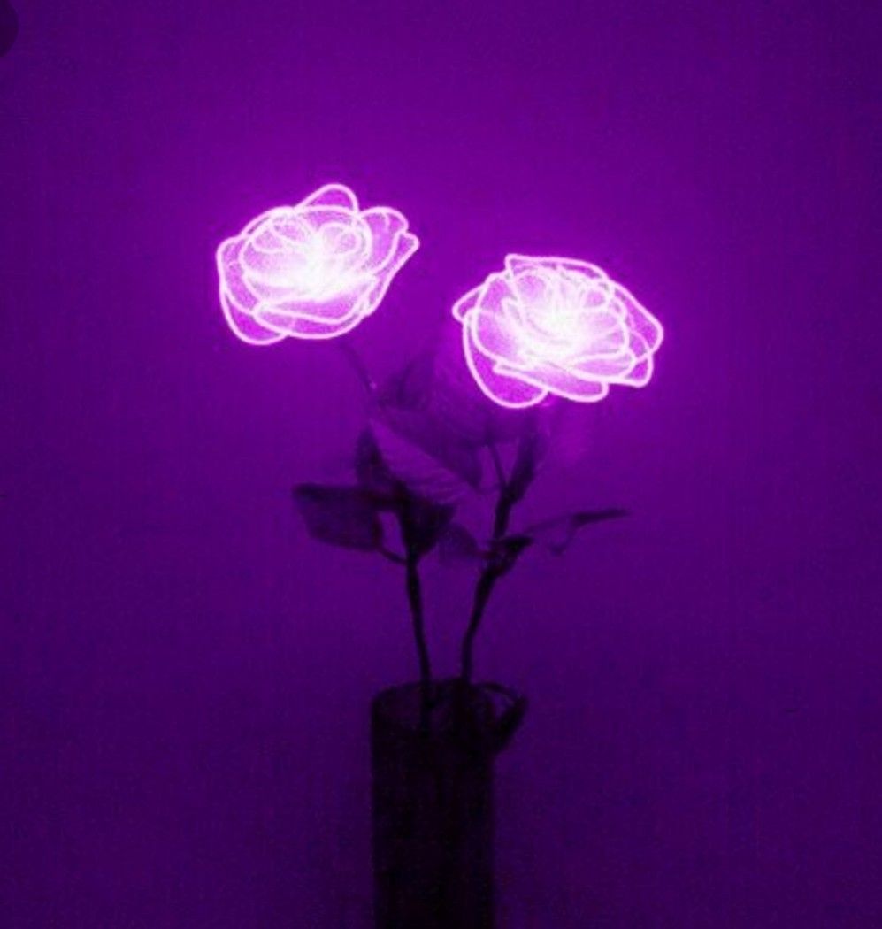 Rose neon viola in vaso, 997x1050 Full HD Verticale, Realme