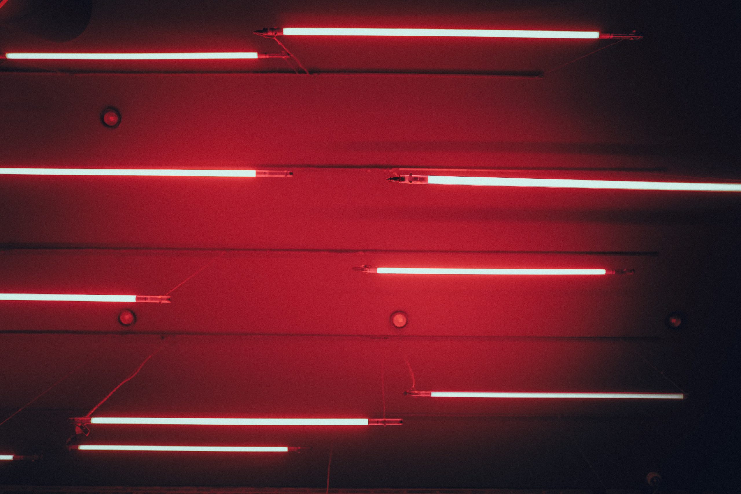 Luci LED rosse al neon, 2560x1707 2K, Desktop