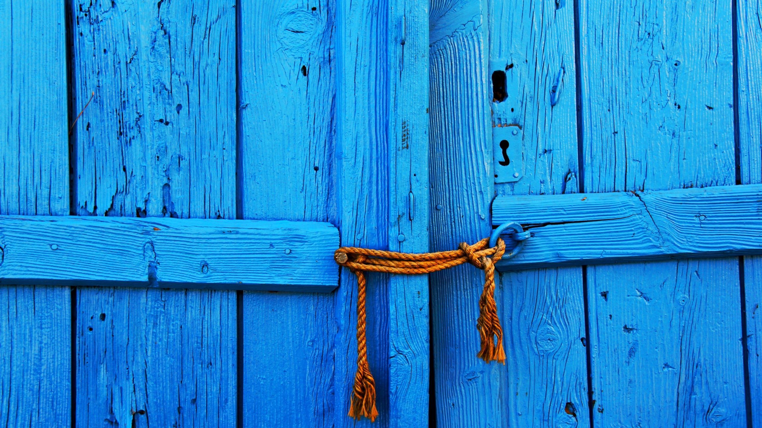 Porta di legno blu, 2560x1440 QHD, Laptop