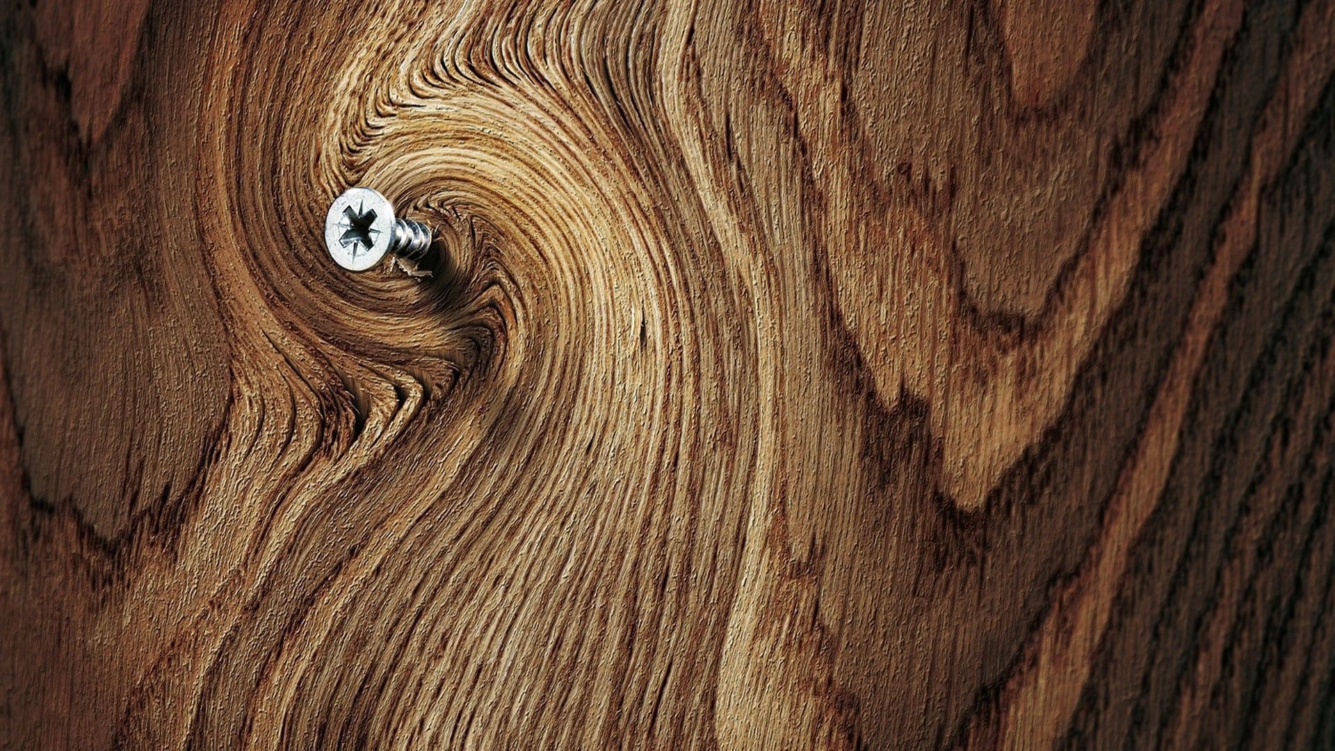 Vite su venatura legno, 1920x1080 Full HD, Desktop
