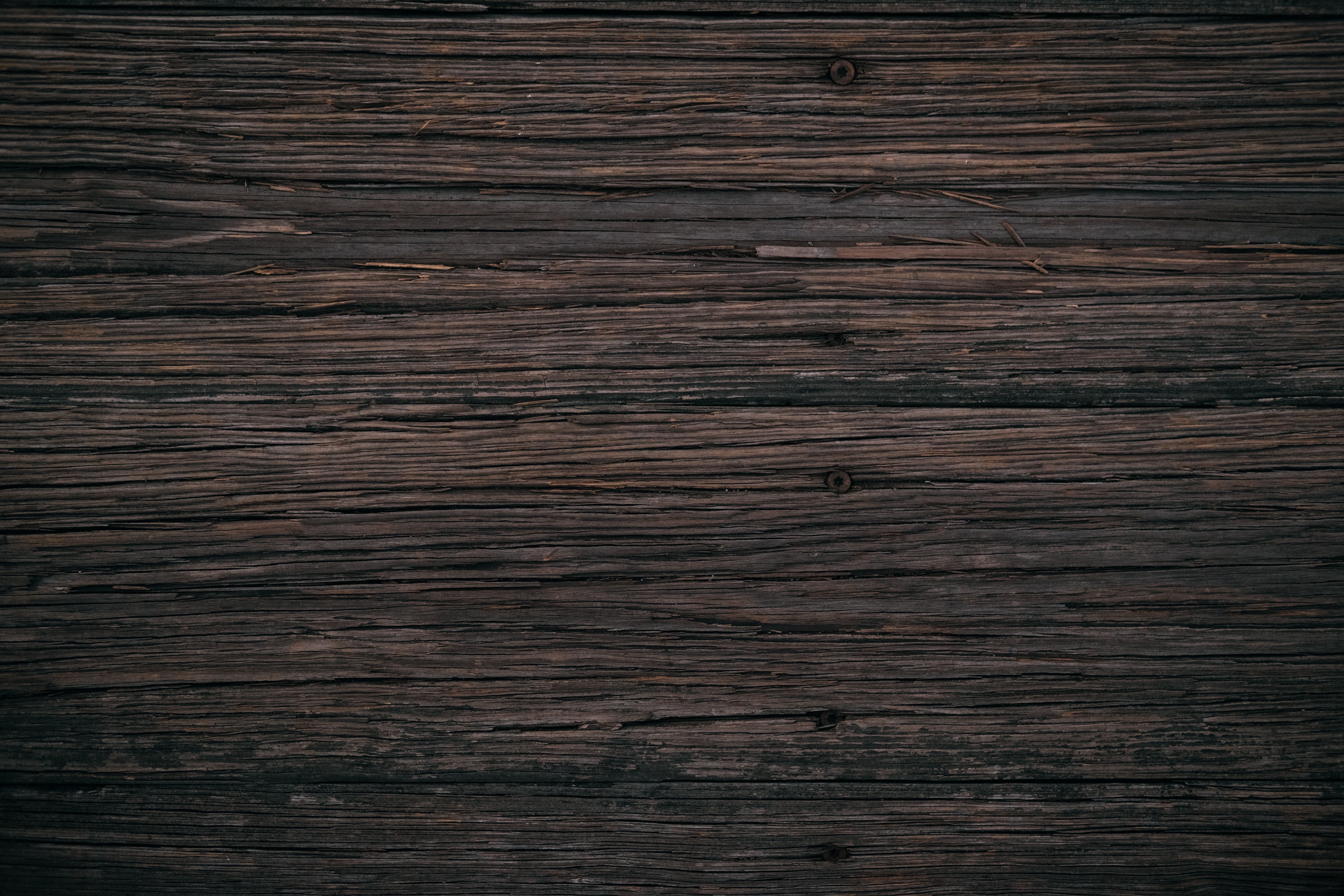 Logo Apple su legno, azienda tech, 1920x1200 Full HD+ WUXGA, Desktop