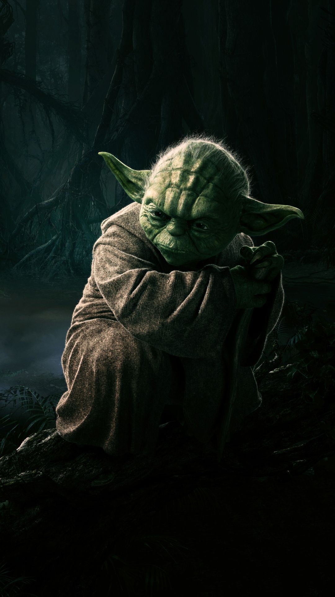 Yoda Star Wars foresta scura, 1080x1920 Verticale, iPhone Pro Max