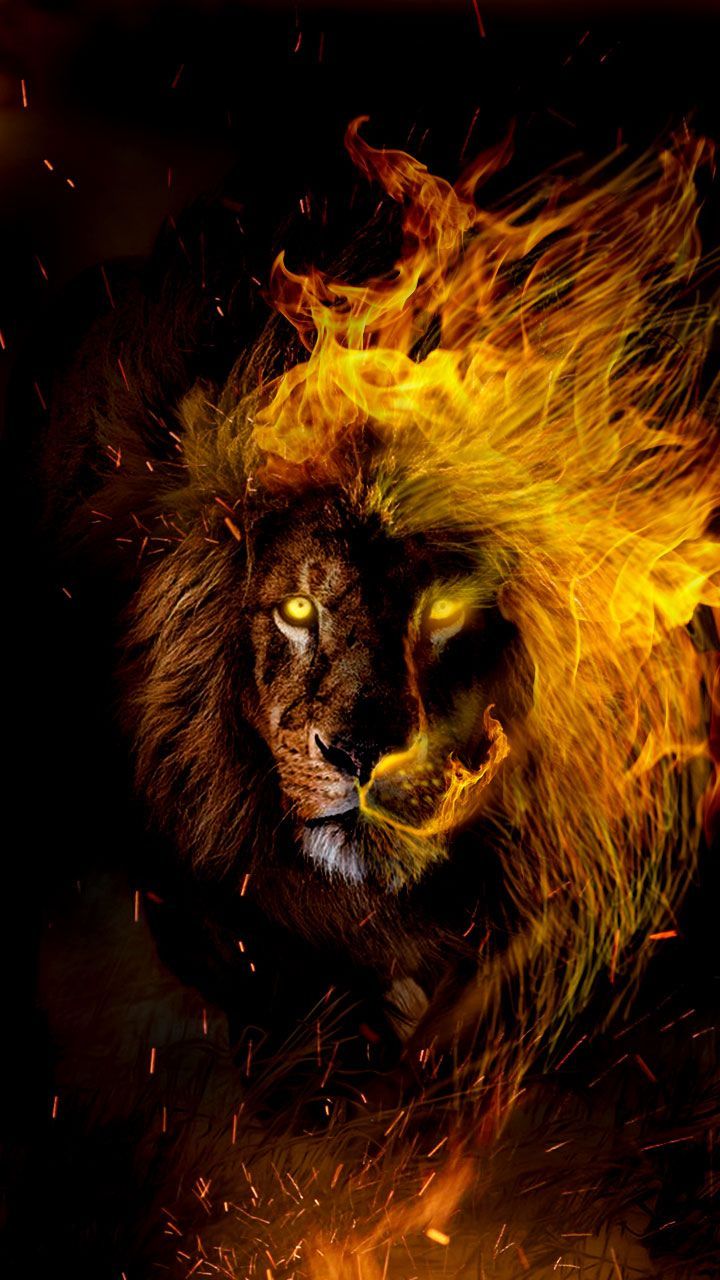 Leone con criniera di fuoco, 720x1280 Full HD Verticale, iPhone