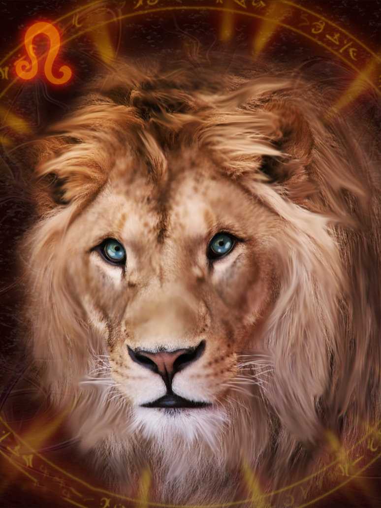 Volto leone occhi azzurri, 774x1032 Full HD Verticale, iPhone