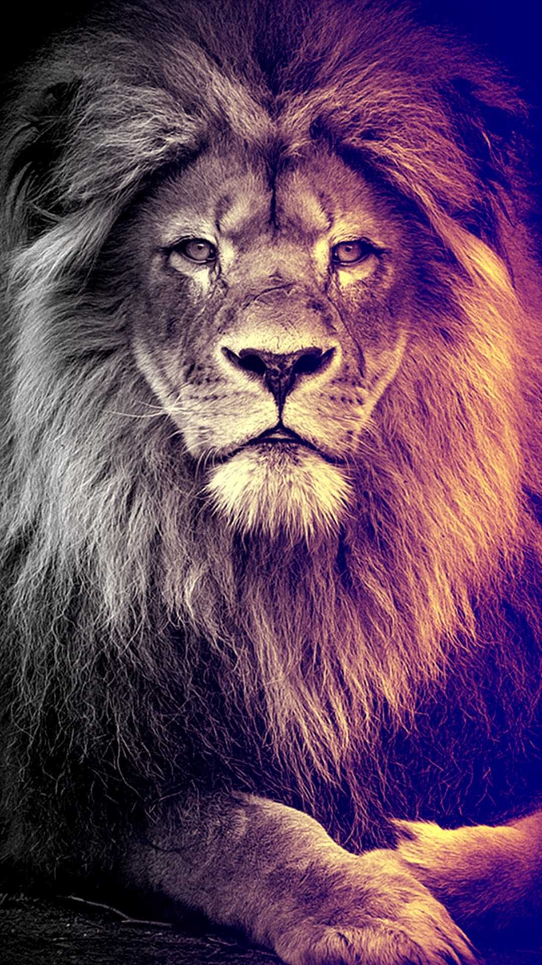 Volto di leone ravvicinato, 1080x1920 Full HD Verticale, iPhone