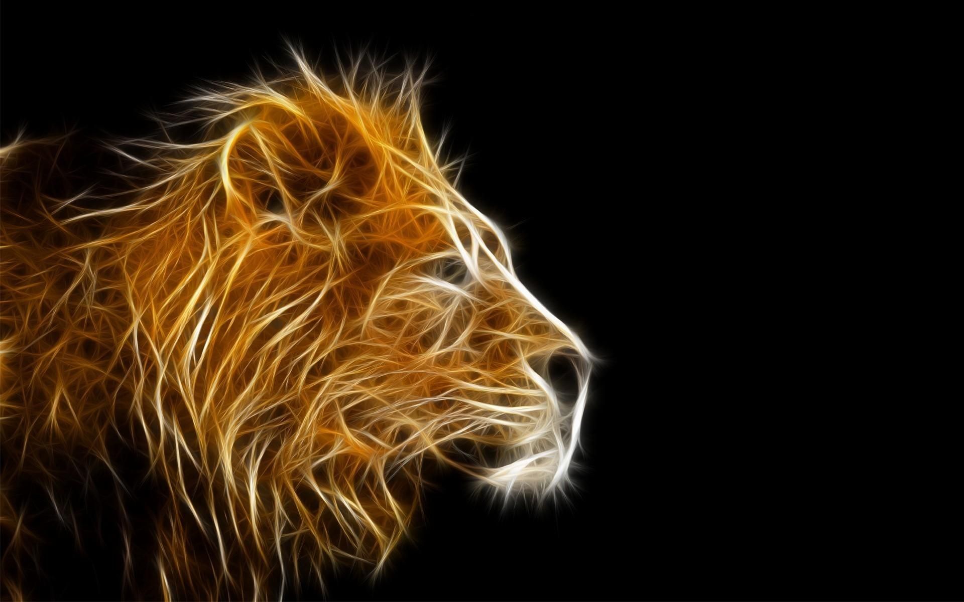 Leone bianco nella neve, 1920x1080 1080p, Desktop