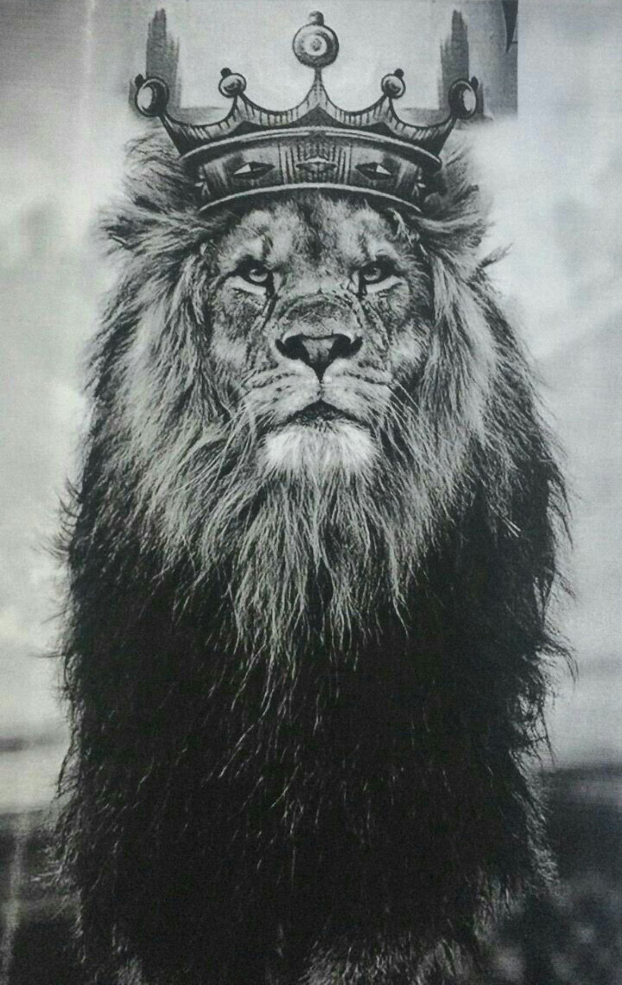 Leone con corona bianco e nero, 1242x1965 Full HD Verticale, Smartphone