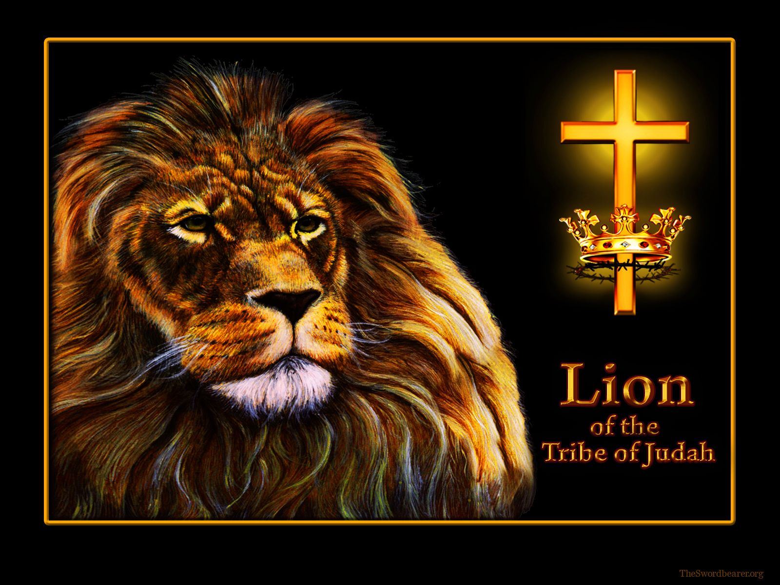 Leone su sfondo scuro, 1920x1080 Full HD 1080p, Desktop
