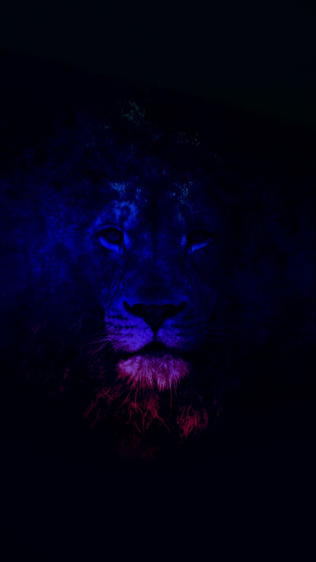Leone galattico blu viola, 1080x1920 Verticale, Samsung Galaxy