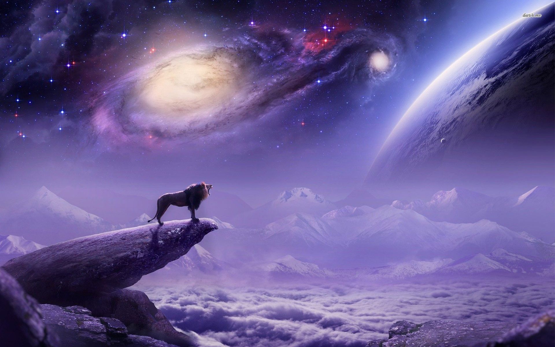 Lupo su roccia con galassia, 1920x1200 Full HD+ WUXGA, Desktop