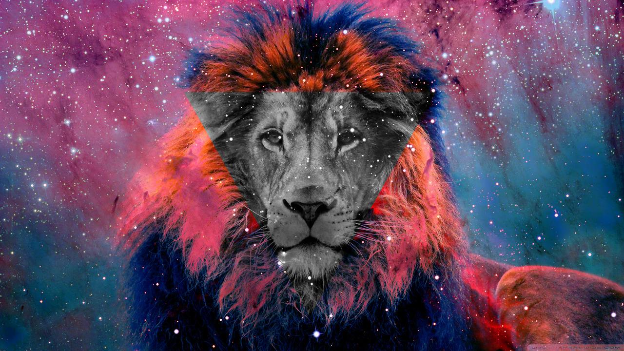 Leone con criniera folta, 1440x2560 Full HD Verticale, iPhone