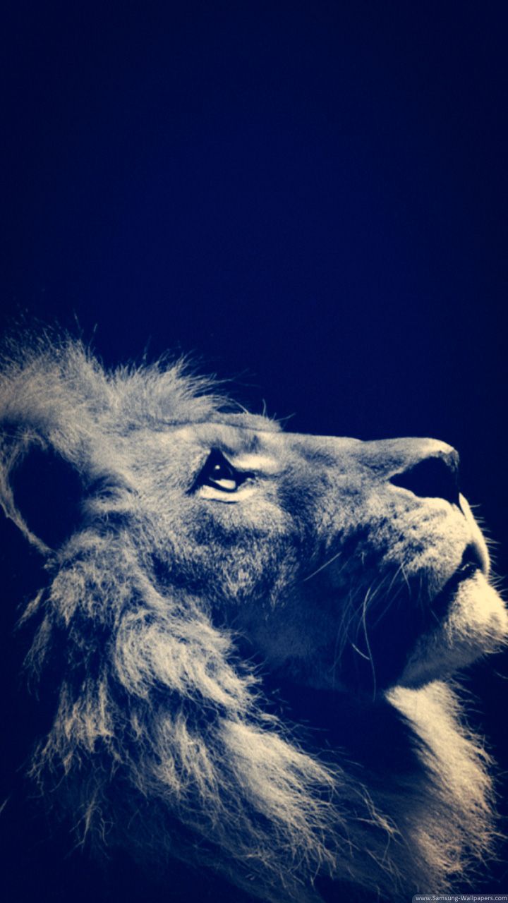 Leone profilo sfondo blu, 720x1280 Verticale, Galaxy Ultra