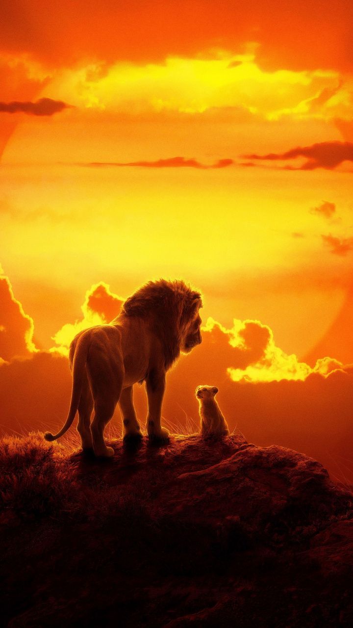 Leone e cucciolo tramonto, 720x1280 Full HD Verticale, Galaxy Z
