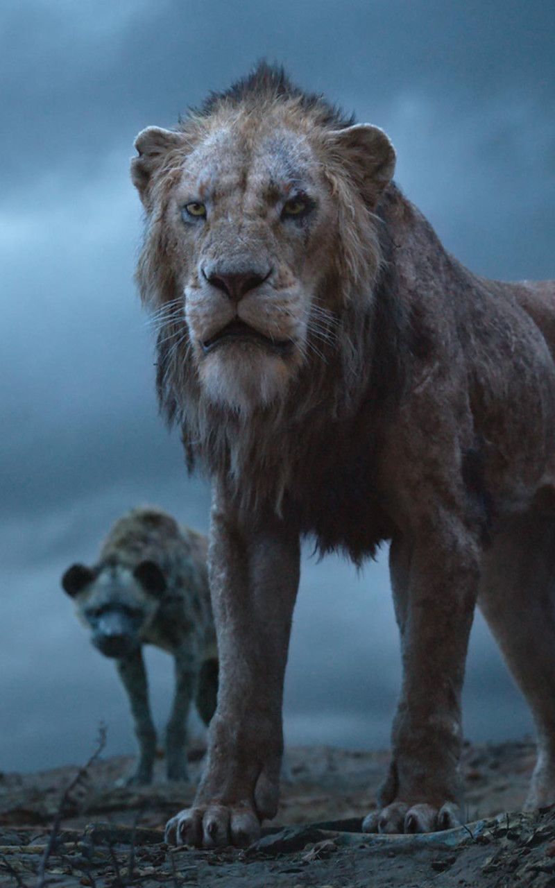 Scar Il Re Leone 2019, 800x1280 Verticale, Galaxy Ultra