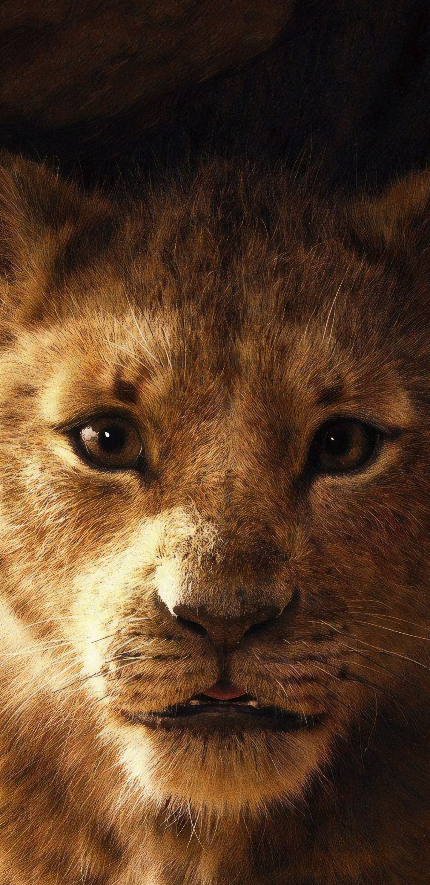 Simba, Il Re Leone, 1440x2960 Full HD Verticale, Galaxy Z