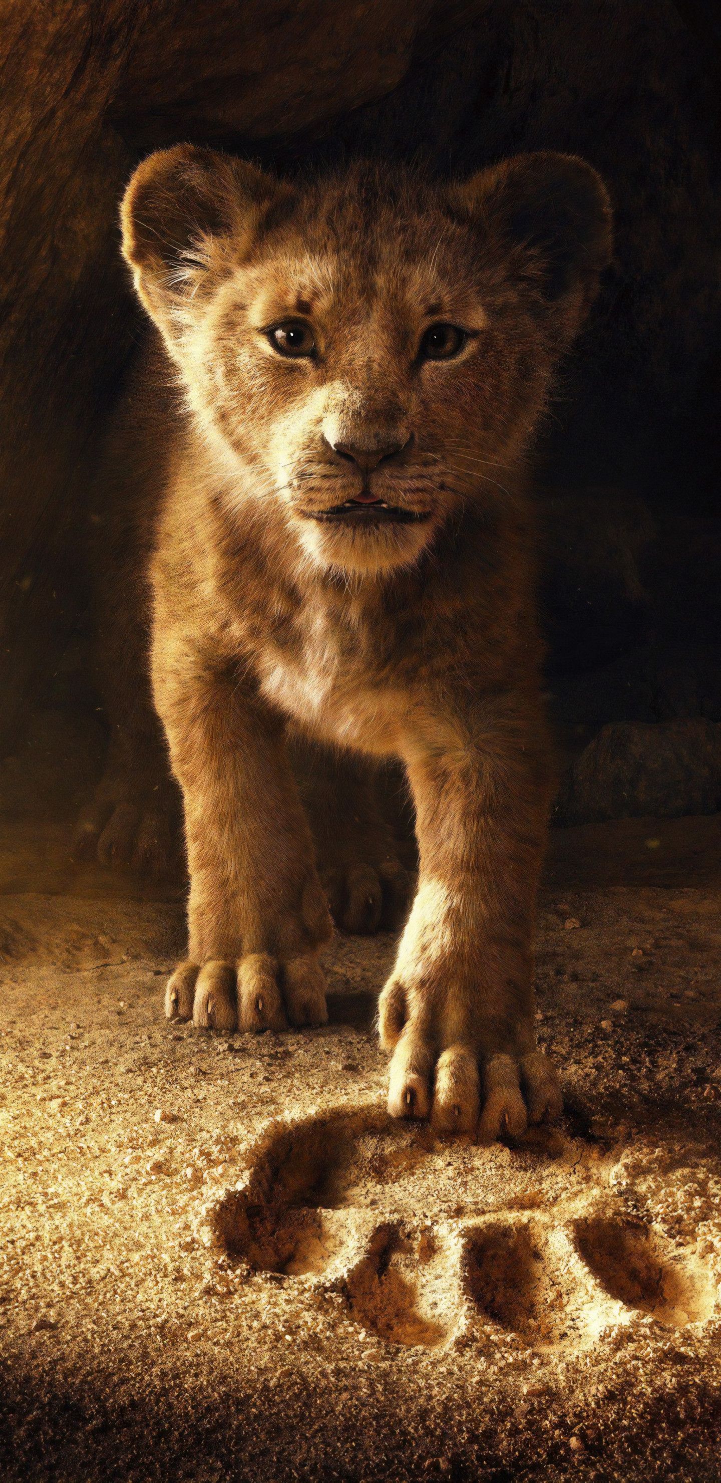Simba cucciolo Re Leone, 1440x2960 Verticale, Samsung Galaxy