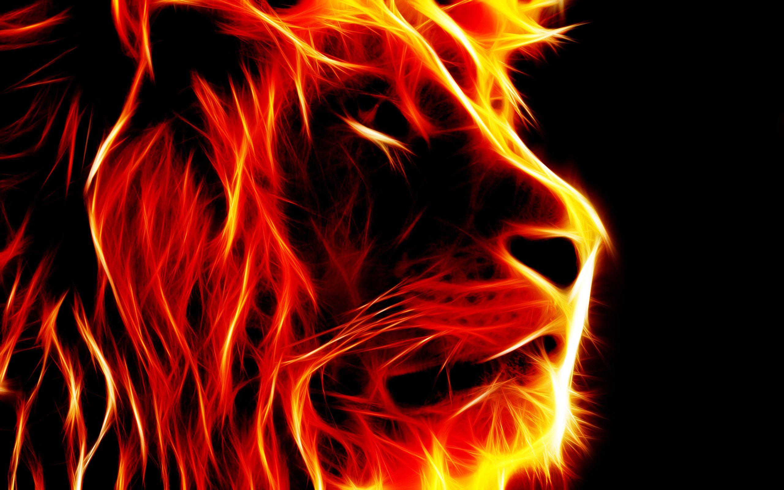 Leone di fuoco fractal, 2560x1600 2K, Laptop