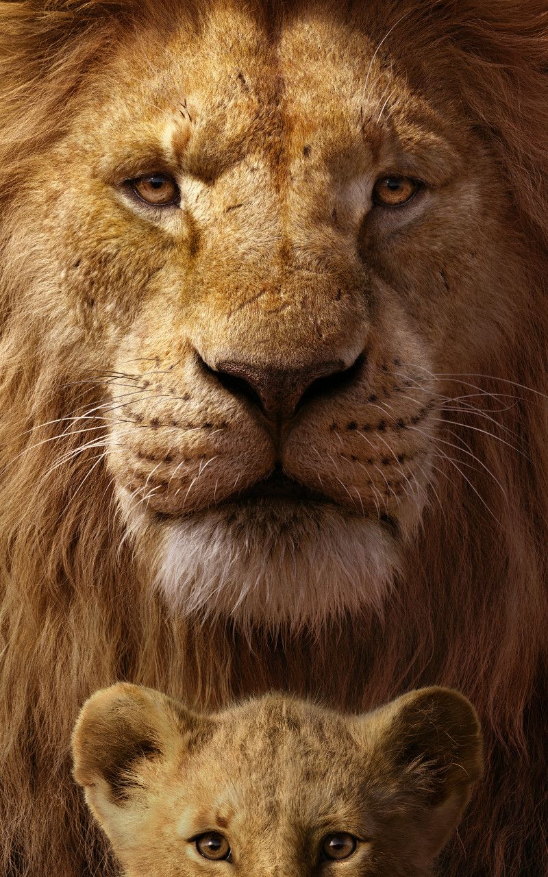Il Re Leone, Mufasa e Simba, 800x1280 Verticale, Samsung Galaxy