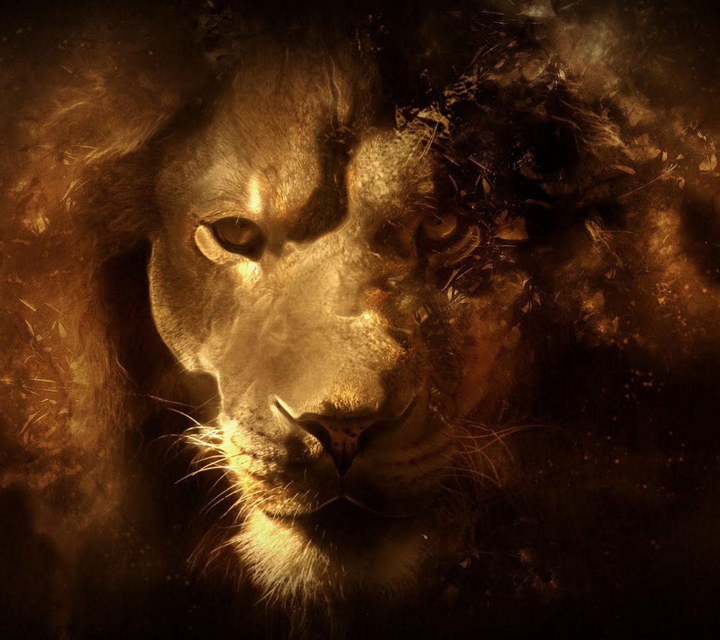 Leone artistico dorato, 1440x1280 720p, PC