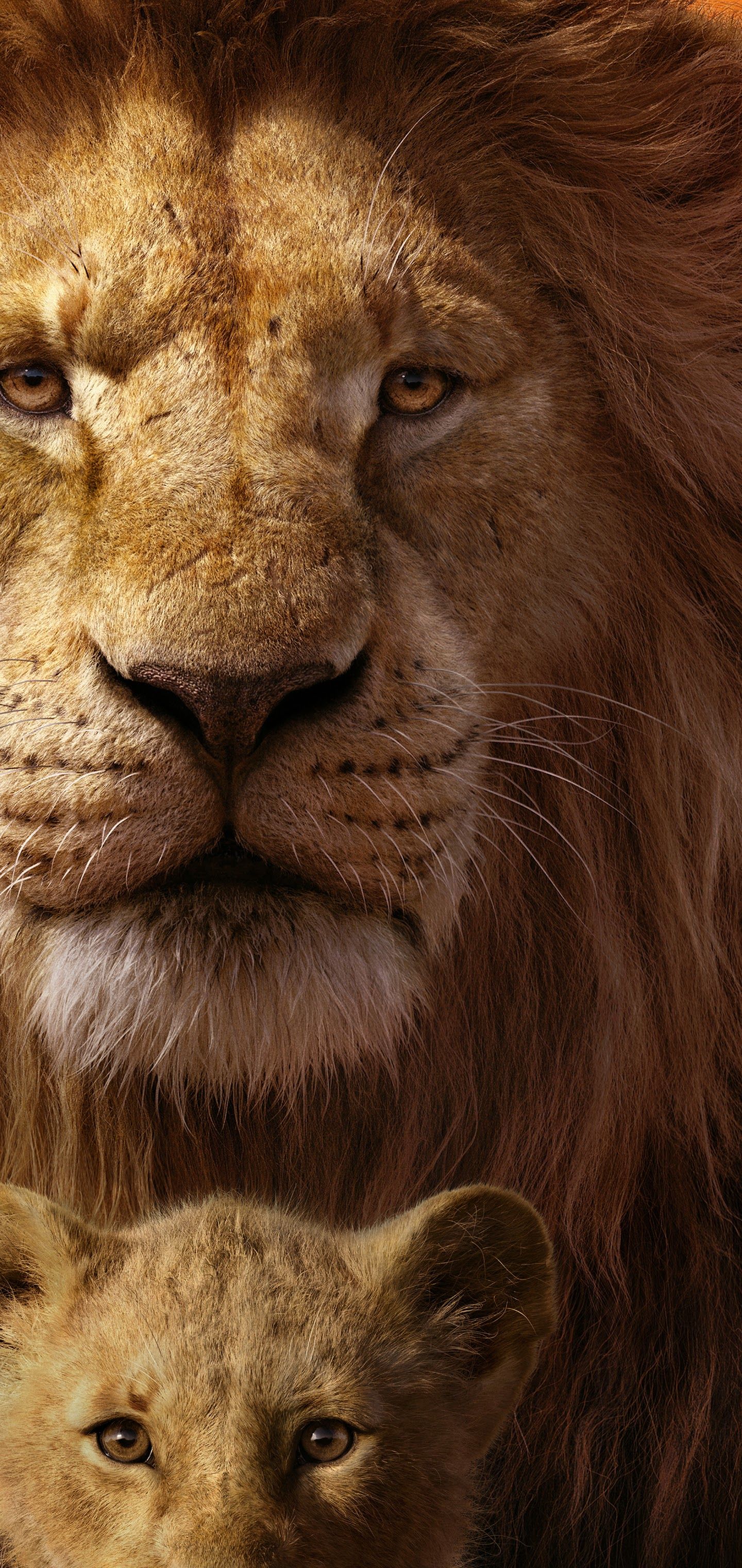 Mufasa e Simba, Il Re Leone, 1440x3040 Verticale, Galaxy Note
