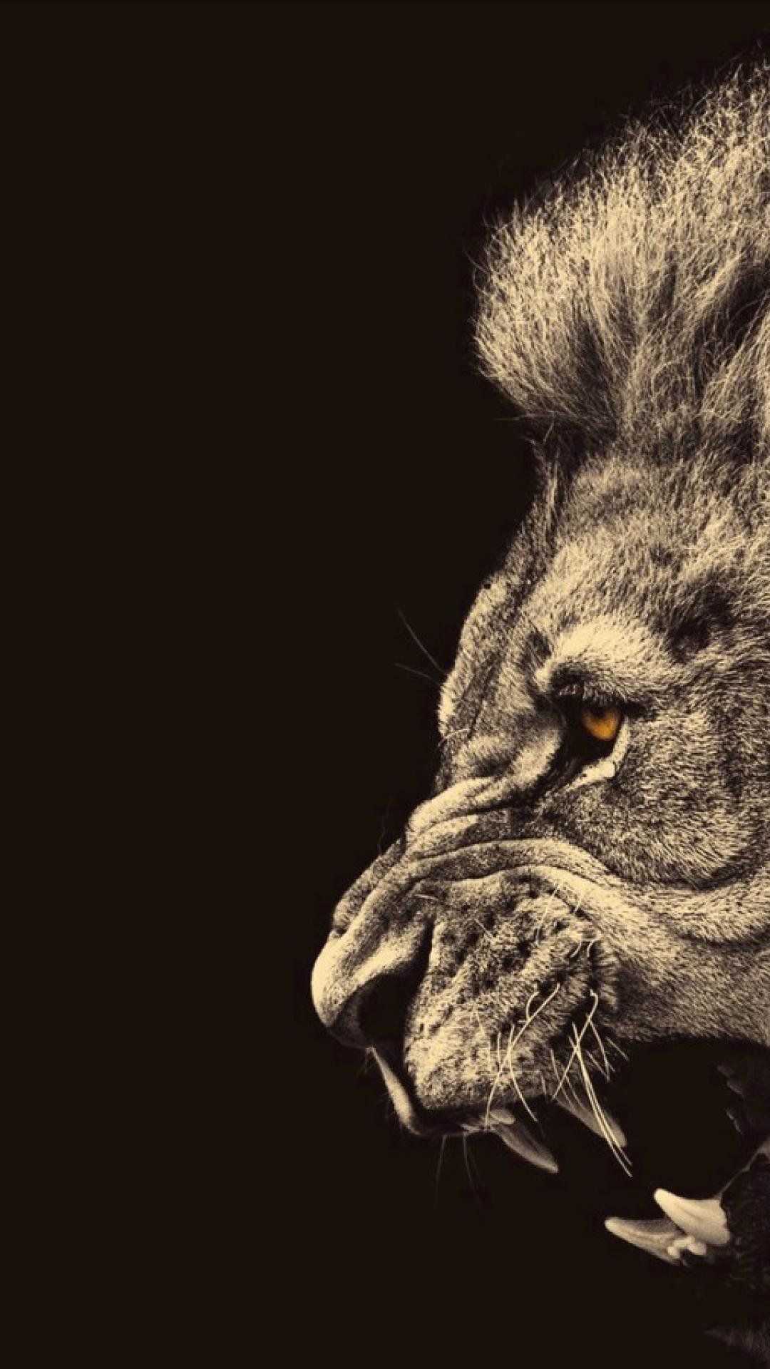 Leone ruggente su nero, 1080x1920 Full HD Verticale, Galaxy S