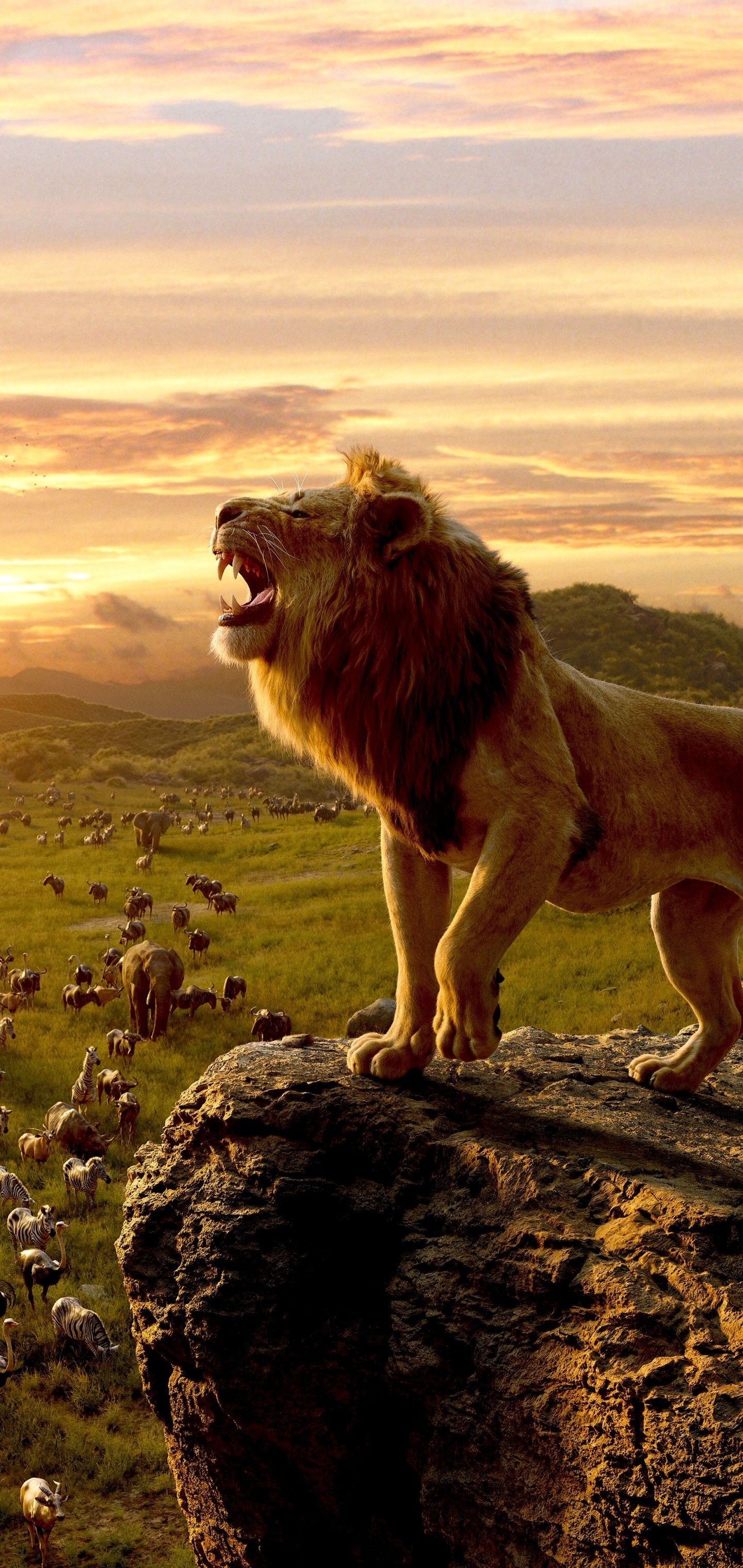 Simba, Il Re Leone, ruggito, 1440x3040 Verticale, Galaxy Note