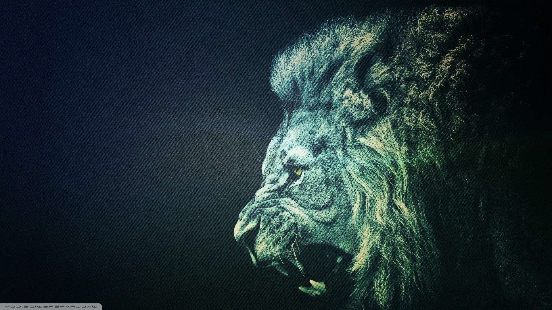 Leone ruggente su sfondo scuro, 1920x1080 1080p, Laptop