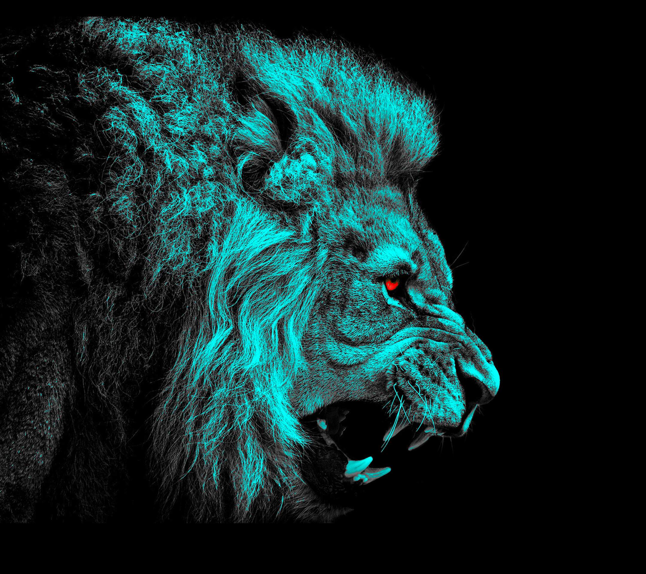 Leone ruggente ciano neon, 2160x1920 alta risoluzione, PC