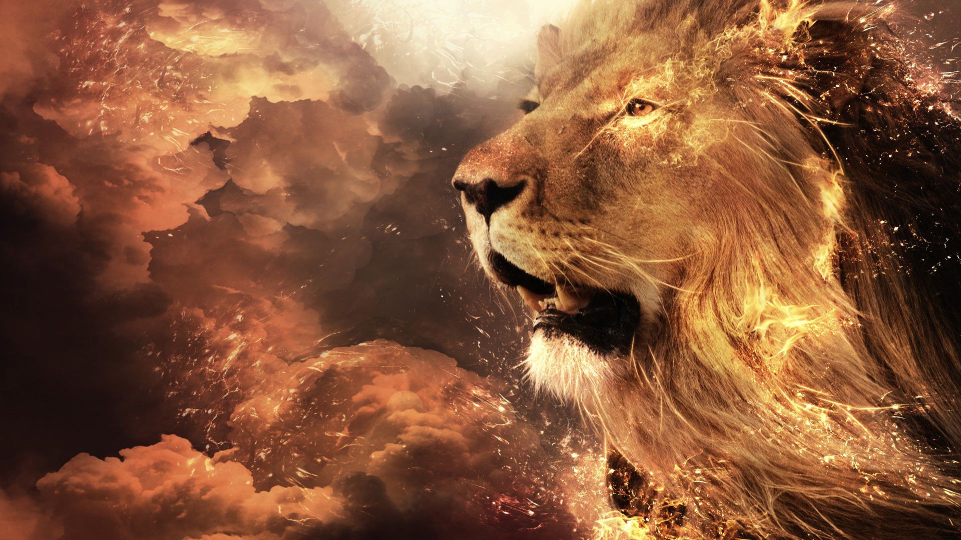 Leone tra nuvole dorate, 1920x1080 Full HD 1080p, Desktop