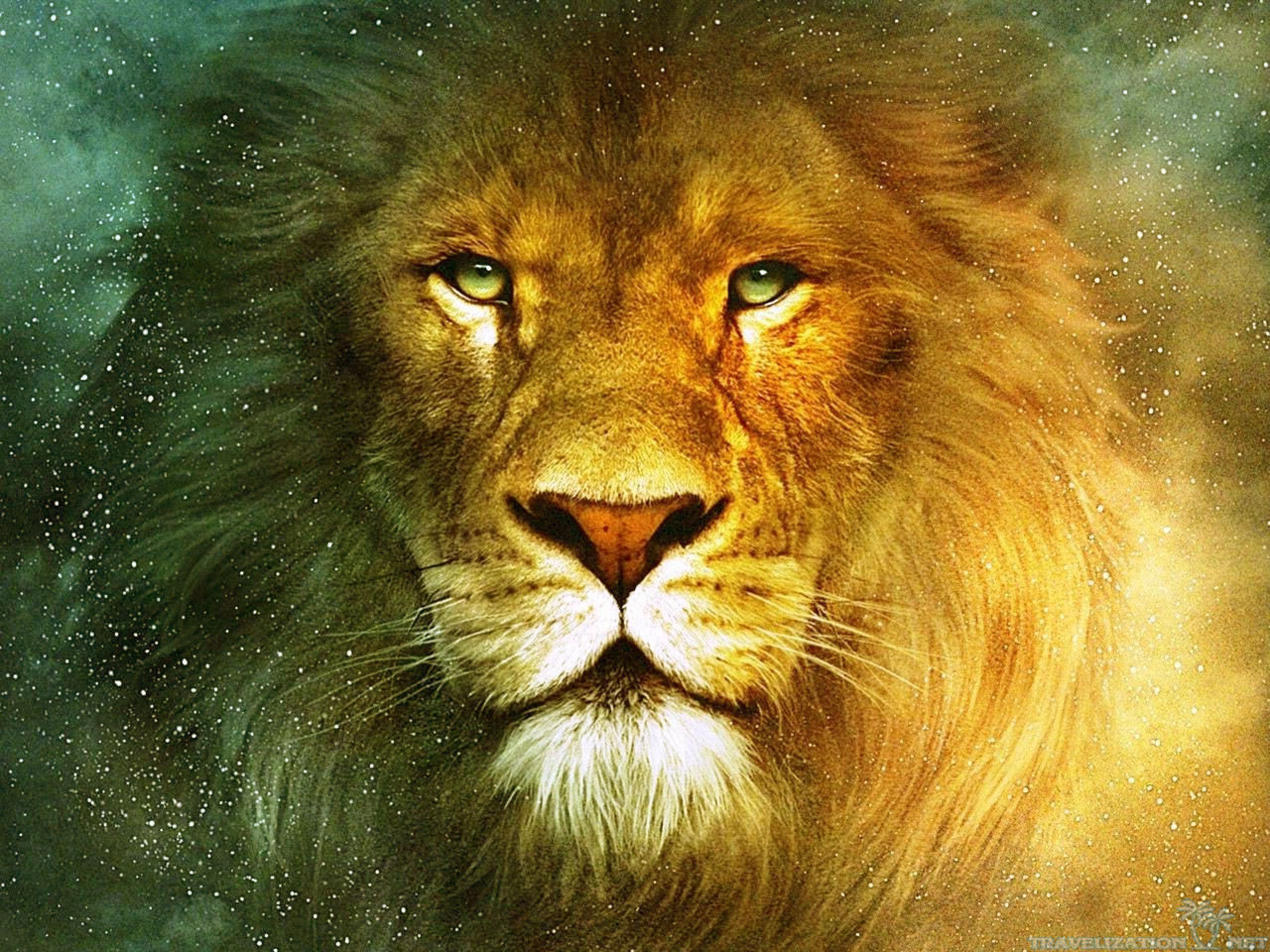 Leone volto sfondo cosmico, 2560x1920 WQXGA, PC