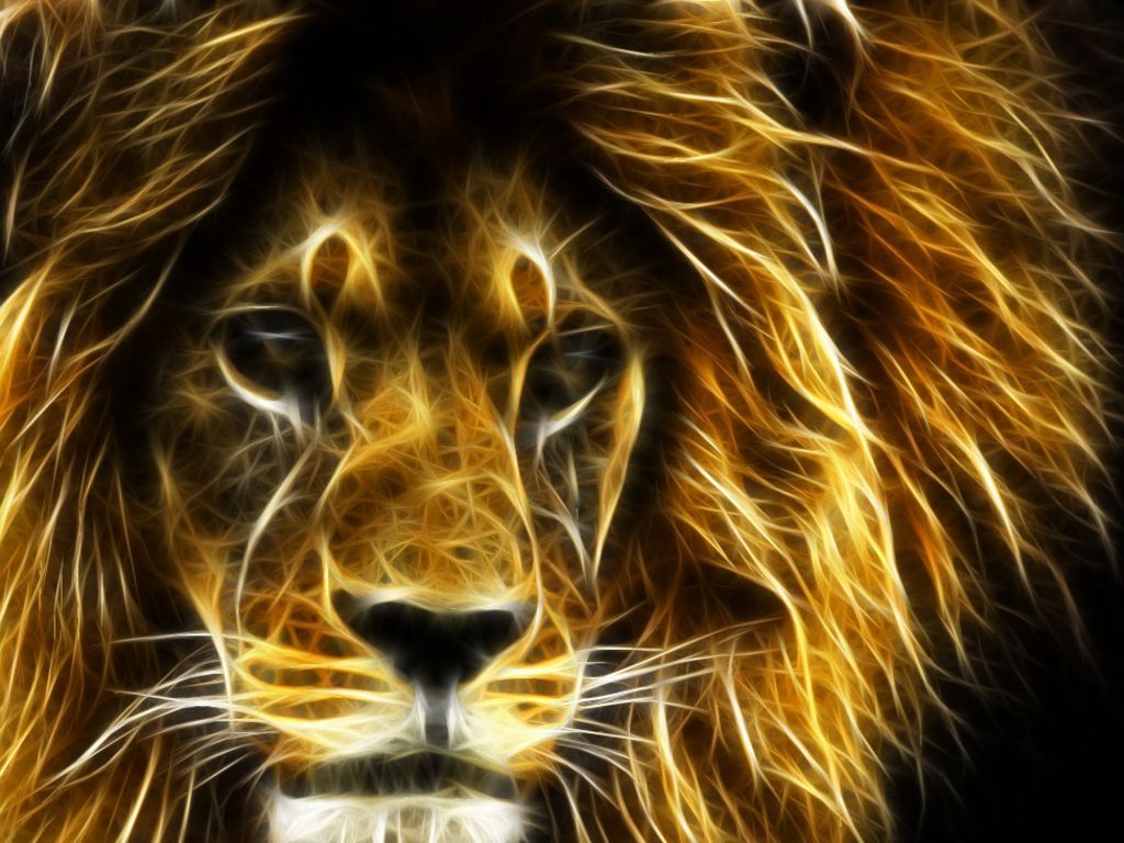 Leone effetto luce fractal, 1024x768 HD, Desktop