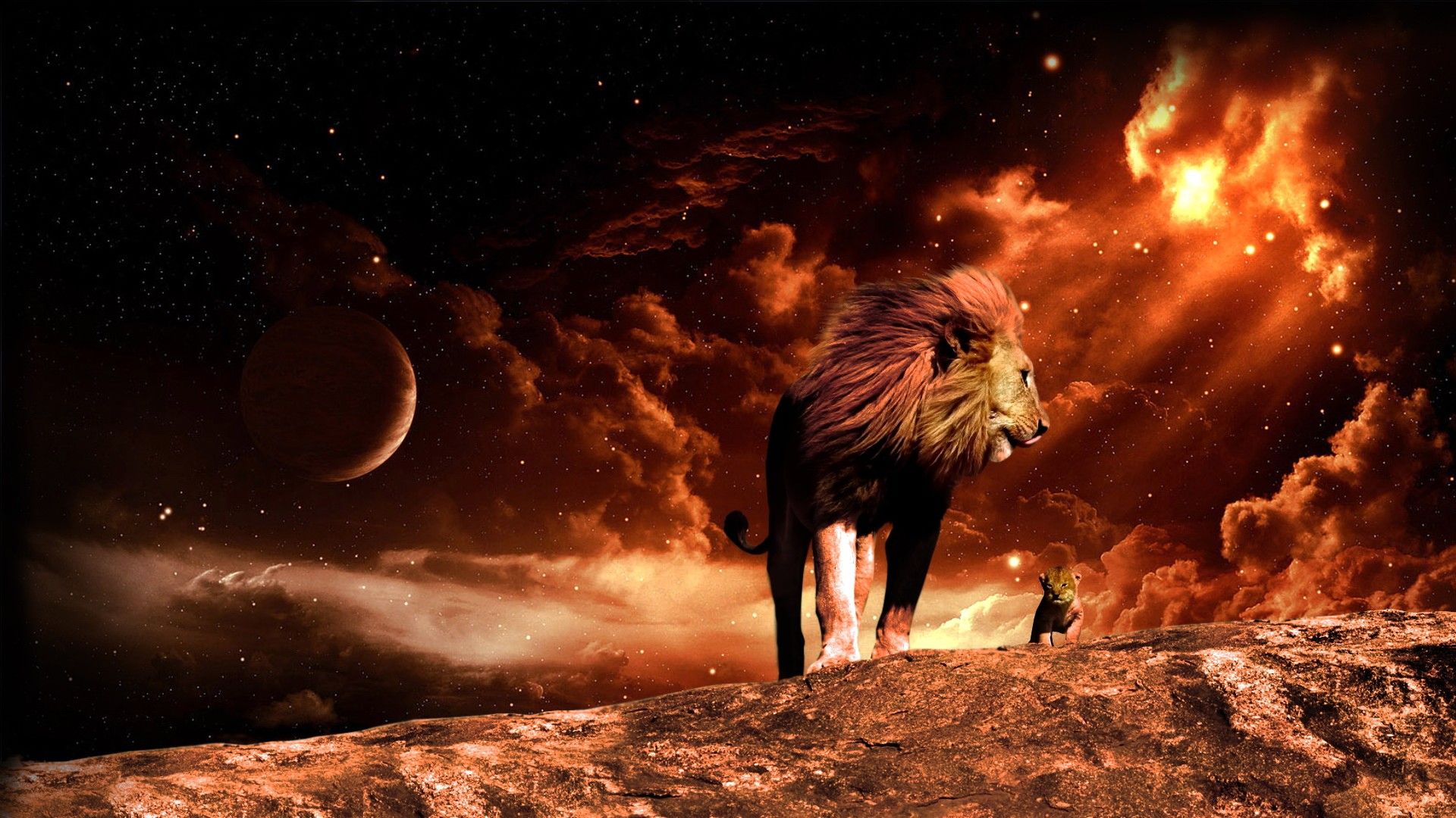 Leone su roccia al tramonto, 1920x1080 Full HD 1080p, Laptop
