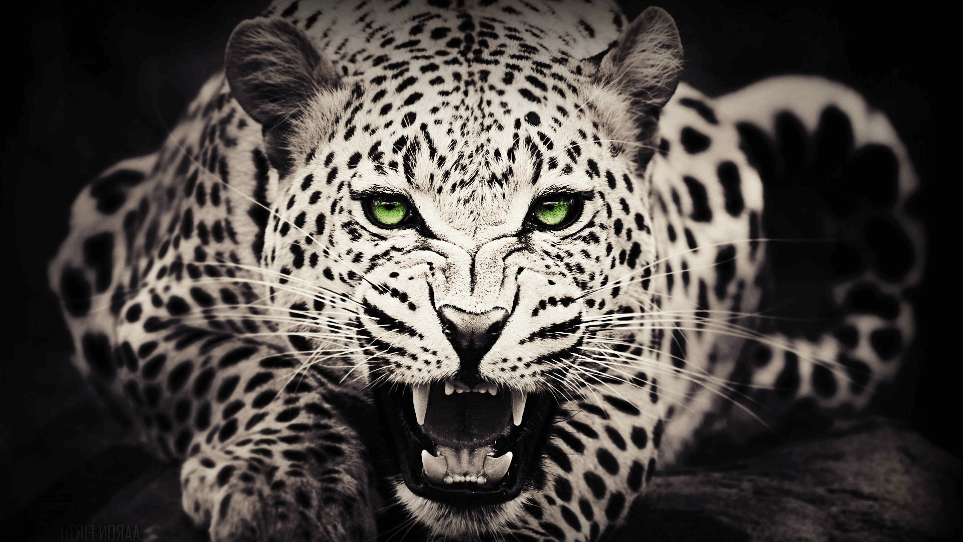 Leopardo con effetto artistico, 1080x2280 Verticale, Mobile
