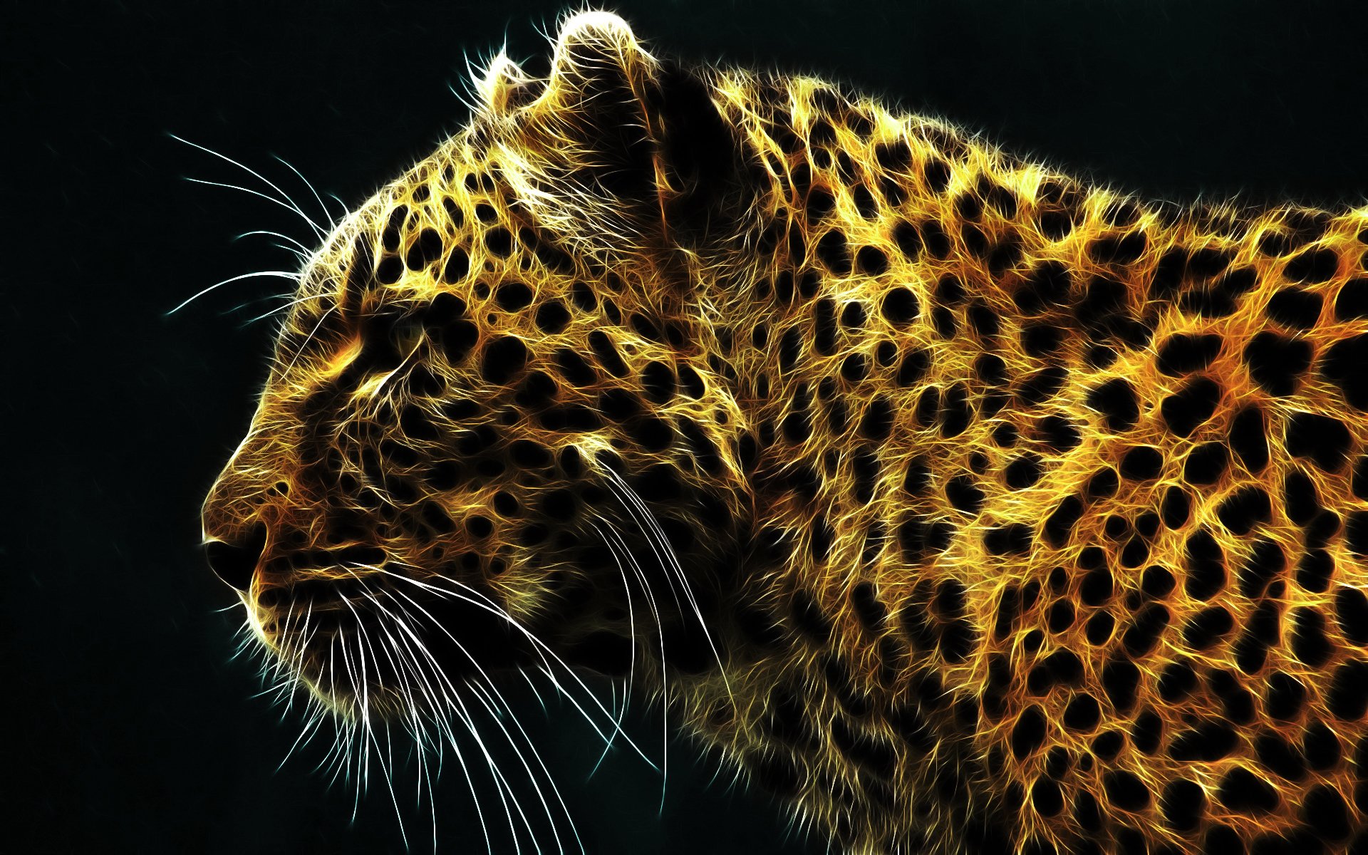 Leopardo profilo sfondo nero, 1920x1200 WUXGA, PC