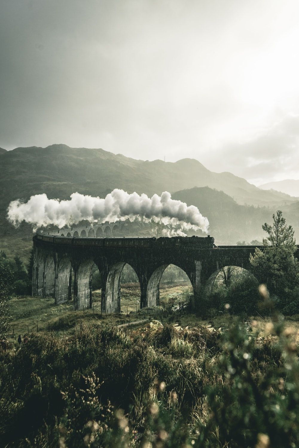 Treno a vapore su viadotto, 1000x1500 Full HD Verticale, Smartphone