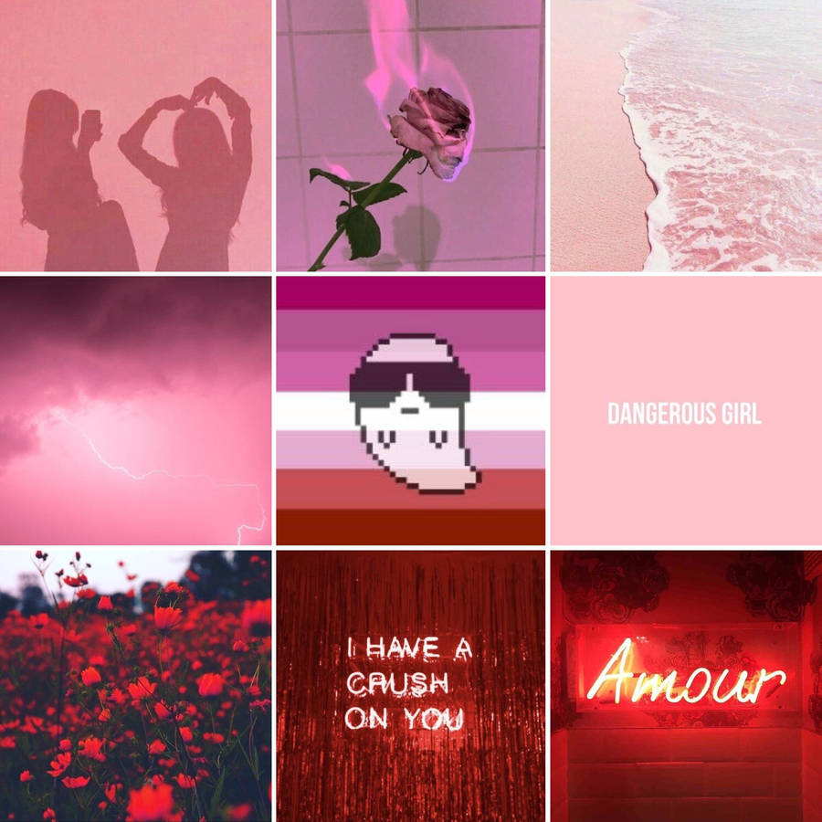 Collage estetico rosa lesbian pride, 900x900 HD, Laptop
