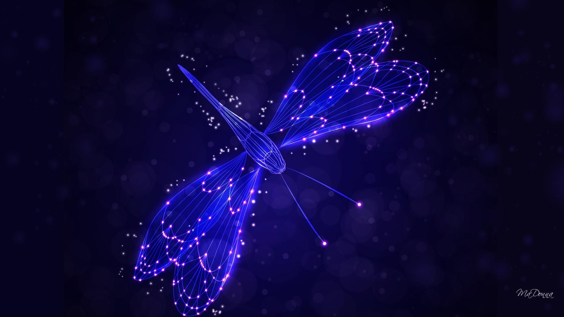 Libellula viola luminosa notte, 1920x1080 Full HD, PC