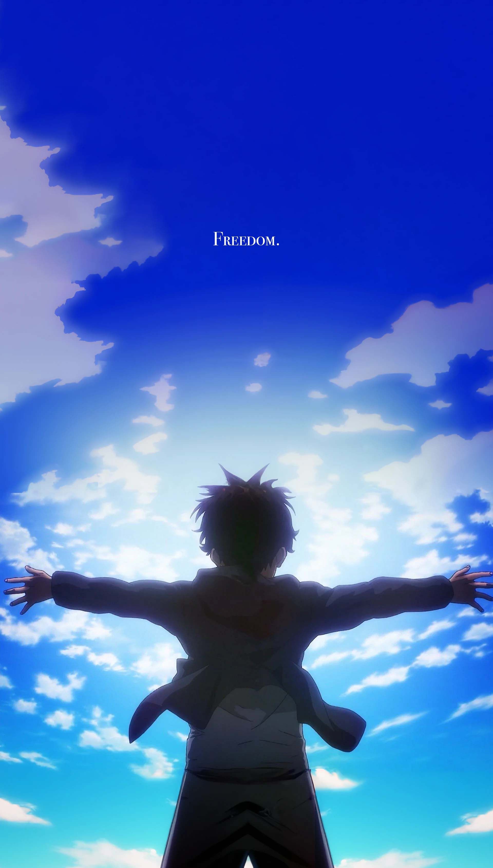 Silhouette ragazzo cielo Attack on Titan, anime, 1920x3379 Verticale, Mobile