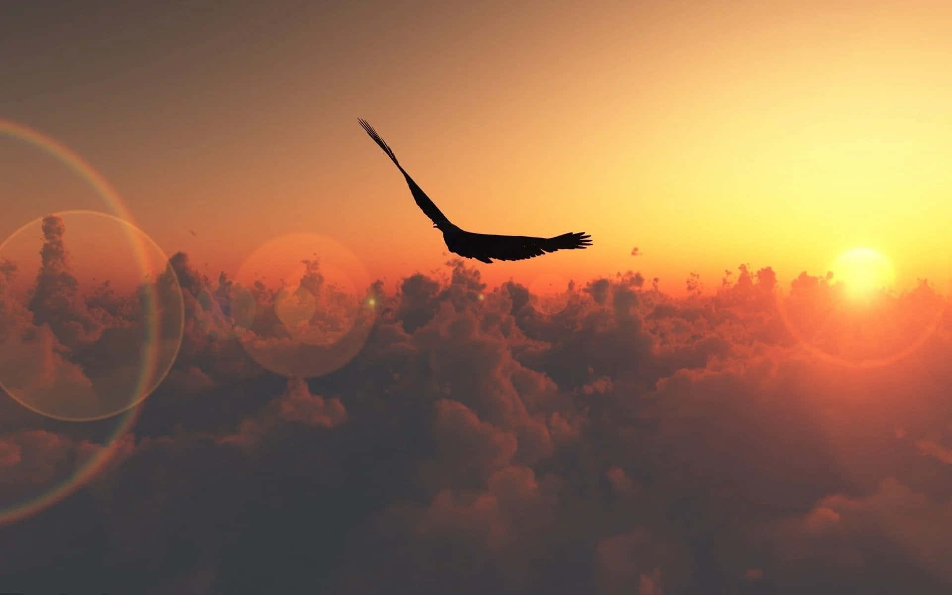 Silhouette che vola sopra nuvole al tramonto, 1920x1200 Full HD+, Laptop