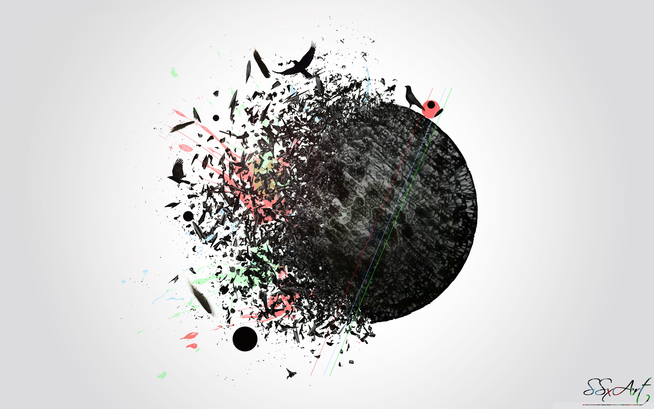 Sfera nera disintegrata con uccelli, 2560x1600 2K+, MacBook Pro