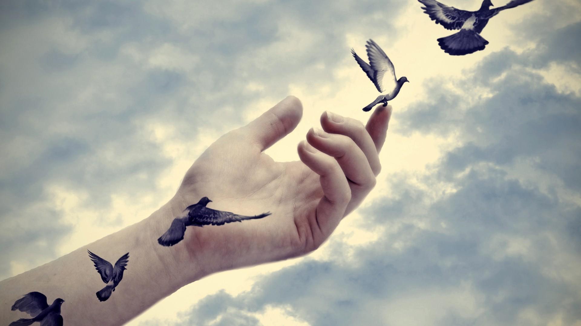 Mano con uccelli che volano via, 1920x1080 Full HD 1080p, PC