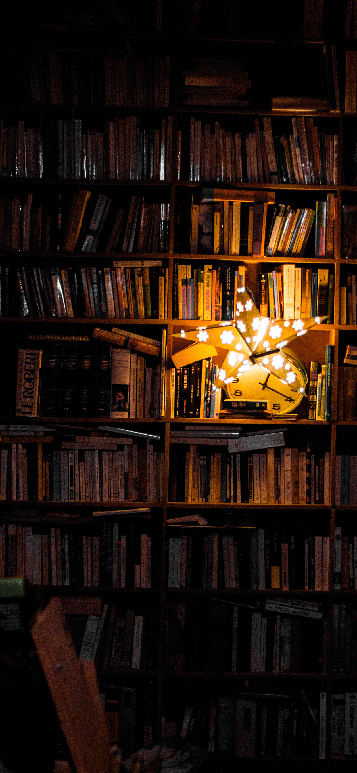 Libreria con luci fatate, 1242x2688 Full HD Verticale, Smartphone